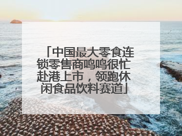 中国最大零食连锁零售商鸣鸣很忙赴港上市，领跑休闲食品饮料赛道