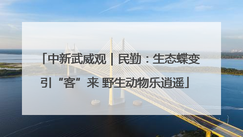 中新武威观｜民勤：生态蝶变引“客”来 野生动物乐逍遥