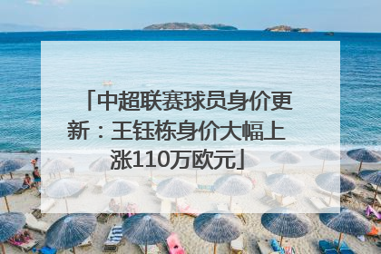 中超联赛球员身价更新：王钰栋身价大幅上涨110万欧元