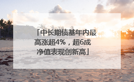 中长期债基年内最高涨超4%，超6成净值表现创新高