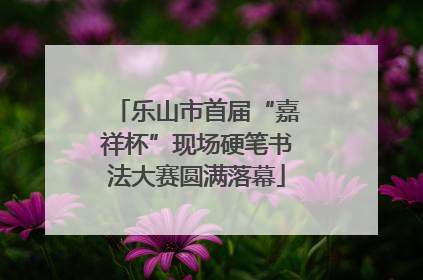 乐山市首届“嘉祥杯”现场硬笔书法大赛圆满落幕