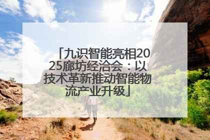 九识智能亮相2025廊坊经洽会：以技术革新推动智能物流产业升级