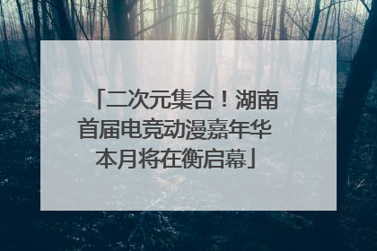 二次元集合！湖南首届电竞动漫嘉年华本月将在衡启幕