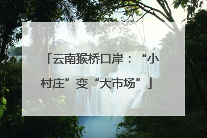 云南猴桥口岸：“小村庄”变“大市场”