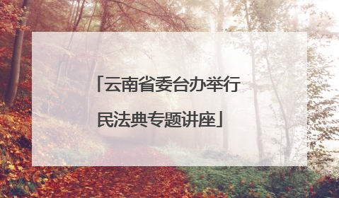 云南省委台办举行民法典专题讲座