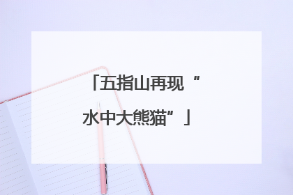 五指山再现“水中大熊猫”