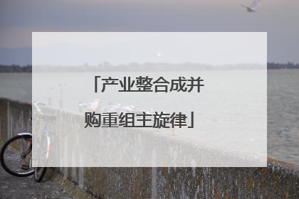 产业整合成并购重组主旋律