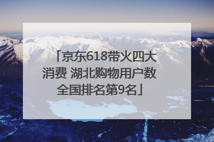 京东618带火四大消费 湖北购物用户数全国排名第9名