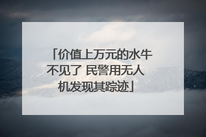 价值上万元的水牛不见了 民警用无人机发现其踪迹