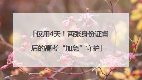 仅用4天！两张身份证背后的高考“加急”守护