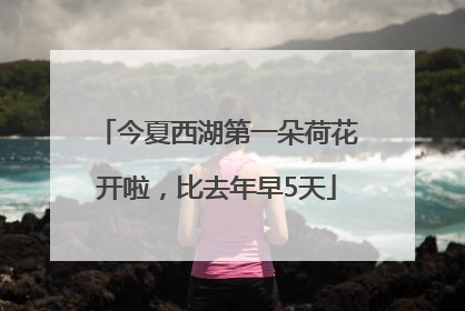今夏西湖第一朵荷花开啦，比去年早5天