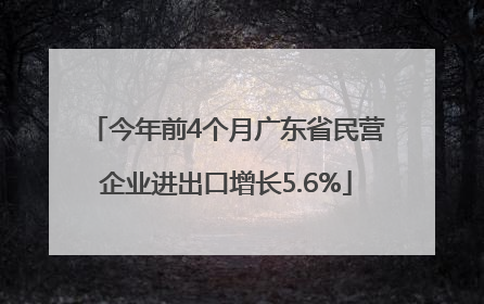 今年前4个月广东省民营企业进出口增长5.6%