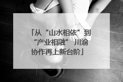 从“山水相依”到“产业相融” 川渝协作再上新台阶