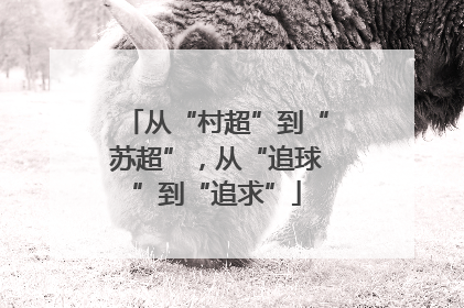 从“村超”到“苏超”，从“追球”到“追求”