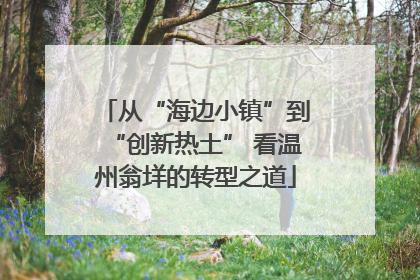 从“海边小镇”到“创新热土” 看温州翁垟的转型之道