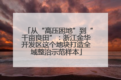 从“高压困地”到“千亩良田”：浙江金华开发区这个地块打造全域整治示范样本