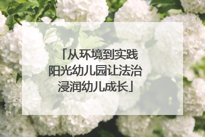 从环境到实践 阳光幼儿园让法治浸润幼儿成长