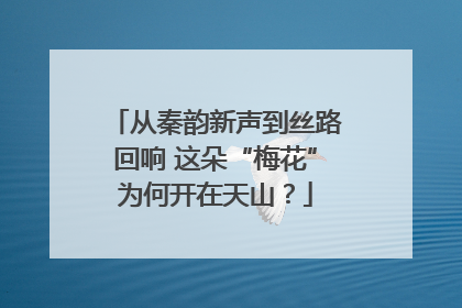 从秦韵新声到丝路回响 这朵“梅花”为何开在天山？