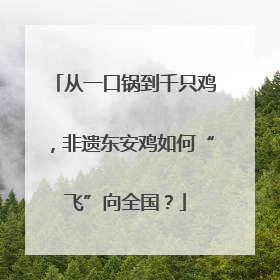 从一口锅到千只鸡，非遗东安鸡如何“飞”向全国？
