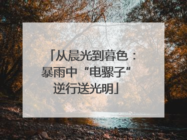 从晨光到暮色：暴雨中“电骡子”逆行送光明