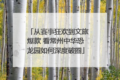 从赛事狂欢到文旅爆款 看常州中华恐龙园如何深度破圈