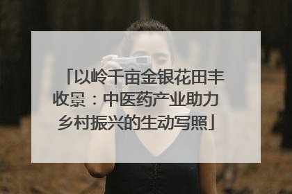以岭千亩金银花田丰收景：中医药产业助力乡村振兴的生动写照