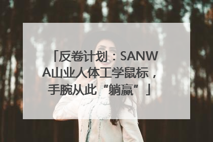 反卷计划：SANWA山业人体工学鼠标，手腕从此“躺赢”