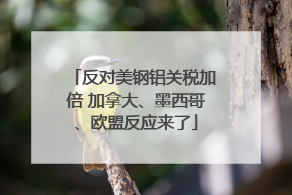 反对美钢铝关税加倍 加拿大、墨西哥、欧盟反应来了