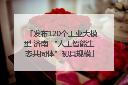 发布120个工业大模型 济南 “人工智能生态共同体”初具规模