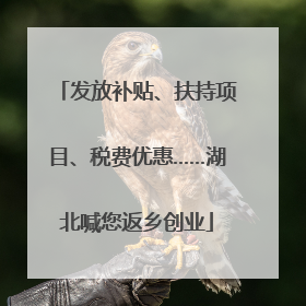 发放补贴、扶持项目、税费优惠……湖北喊您返乡创业