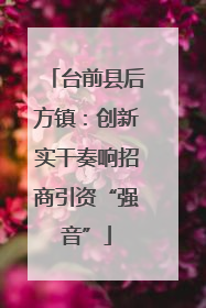 台前县后方镇：创新实干奏响招商引资“强音”