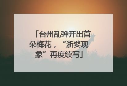 台州乱弹开出首朵梅花，“浙婺现象”再度续写