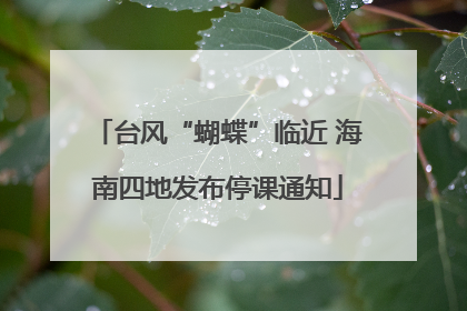 台风“蝴蝶”临近 海南四地发布停课通知