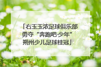 右玉玉浓足球俱乐部勇夺“奔跑吧·少年”朔州少儿足球桂冠