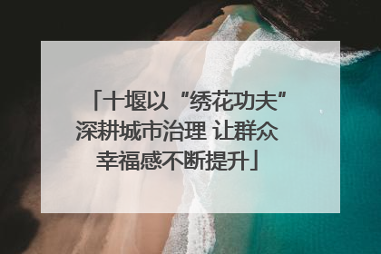 十堰以“绣花功夫”深耕城市治理 让群众幸福感不断提升