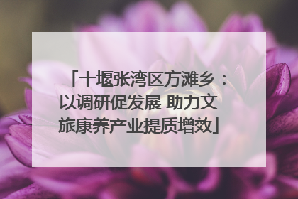 十堰张湾区方滩乡：以调研促发展 助力文旅康养产业提质增效