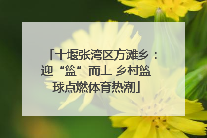十堰张湾区方滩乡：迎“篮”而上 乡村篮球点燃体育热潮