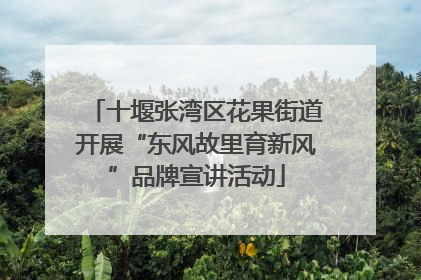 十堰张湾区花果街道开展“东风故里育新风”品牌宣讲活动