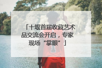 十堰首届收藏艺术品交流会开启，专家现场“掌眼”