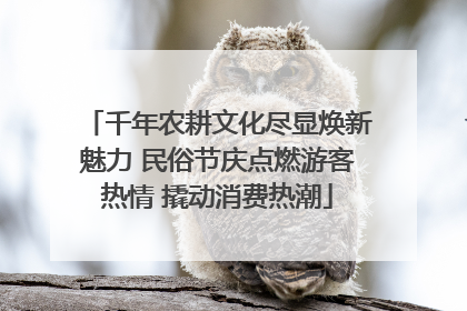 千年农耕文化尽显焕新魅力 民俗节庆点燃游客热情 撬动消费热潮