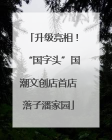 升级亮相！“国字头”国潮文创店首店落子潘家园