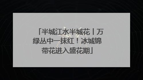 半城江水半城花丨万绿丛中一抹红！冰城锦带花进入盛花期