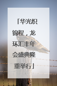 华光织锦程，龙环汇丰年会盛典隆重举行