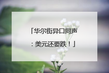 华尔街异口同声：美元还要跌！