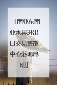 南亚东南亚水果进出口交易集散中心落地昆明