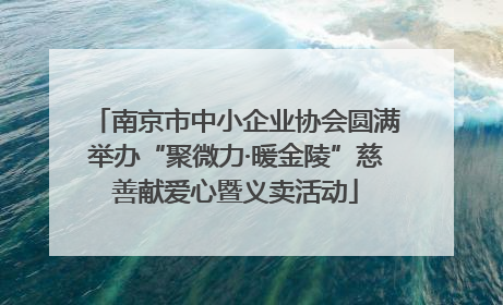 南京市中小企业协会圆满举办“聚微力·暖金陵”慈善献爱心暨义卖活动