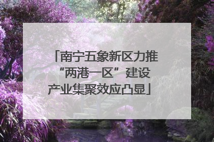 南宁五象新区力推“两港一区”建设 产业集聚效应凸显