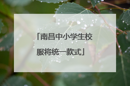 南昌中小学生校服将统一款式