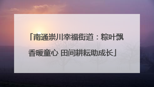 南通崇川幸福街道：粽叶飘香暖童心 田间耕耘助成长