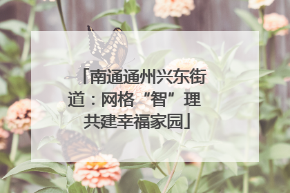 南通通州兴东街道：网格“智”理 共建幸福家园